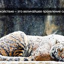 ���� Sashok, ������� - ��������� 12 �������� 2017 � ������ ���� ����������