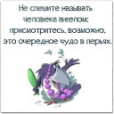 ���� �����������..., ������� - ��������� 9 ���� 2017 � ������ ���� ����������
