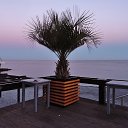  , , 60  -  13  2017    ,, 2017