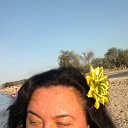 ���� �����, ������ - ��������� 18 �������� 2017 � ������ ������ ��������