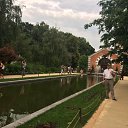 ���� Tamaz, ������ - ��������� 10 ������ 2017 � ������ ���� ����������
