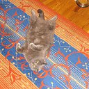 ���� Oleg, ������, 53 ���� - ��������� 14 ���� 2017