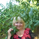 ���� �����, ����� - ��������� 22 ������� 2017