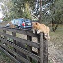 ������� �� ������� ���� ����������