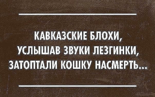   ,  : <a href=