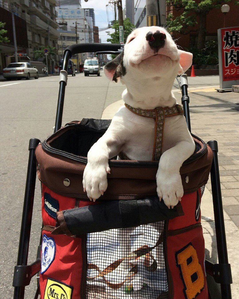 Доброе утро Буле-Городок