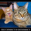 ���� ���������, ������ - ��������� 16 ������ 2017 � ������ ���� ����������