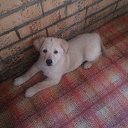 ���� ����, ������, 49 ��� - ��������� 20 ������ 2017 � ������ ���� ����� � ����� ������ ���� � ������������