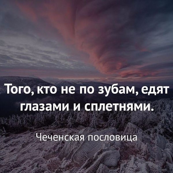 IQ Blog: , , ,  - 24  2017  03:37