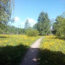 ���� �����, ������, 51 ��� - ��������� 2 ���� 2017 � ������ ���� ����������