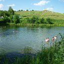 ���� ���������, ������, 51 ��� - ��������� 17 ���� 2017 � ������ �16.07.17 ������� �����, �.��������, ���� ��������