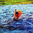 ���� Valentin, ��������, 43 ���� - ��������� 4 ��� 2017 � ������ �8al�