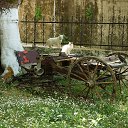 ���� ������, ������, 69 ��� - ��������� 21 ���� 2017