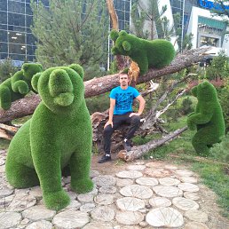 ���� �����, ����, 42 ���� - ��������� 20 ������� 2017