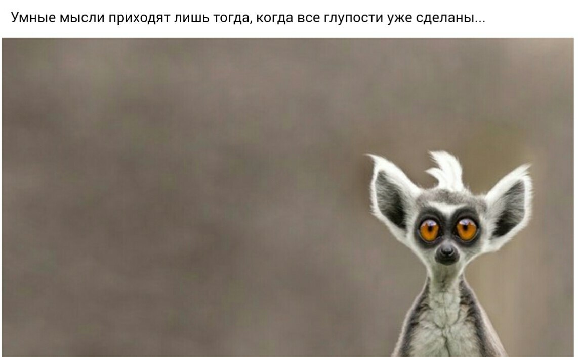   ... - 9  2017  16:58
