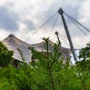  , , 52  -  16  2017       BMW