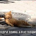 ���� �����, ����-�������, 47 ��� - ��������� 10 ������� 2017 � ������ ���� ����������
