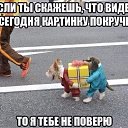 ���� �����, ������, 58 ��� - ��������� 9 �������� 2017 � ������ ������ ��������