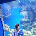 ���� �������, �����������, 44 ���� - ��������� 22 ���� 2017 � ������ ���������� ������