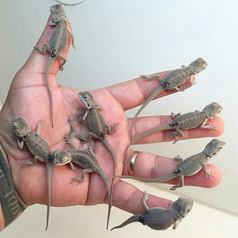 :3 - 4