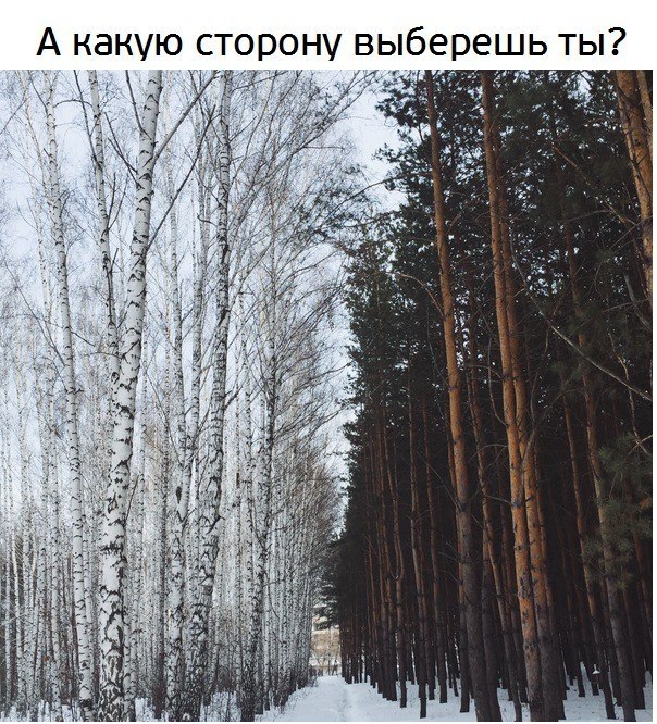 Creative - 15 ������� 2017 � 11:15