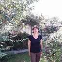 ������ 2017�..