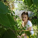 ���� ����, ������ ����, 47 ��� - ��������� 2 ������� 2017 � ������ ���� ����������