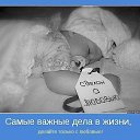 ���� �������, ������������, 55 ��� - ��������� 7 ��� 2017 � ������ ���� ����������