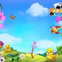  *,  -  13  2017    -