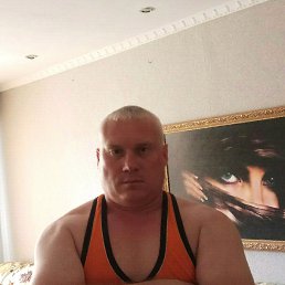 ����, �����, 46 ���