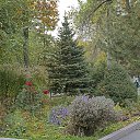  ,  -  29  2017       () 21  2017 