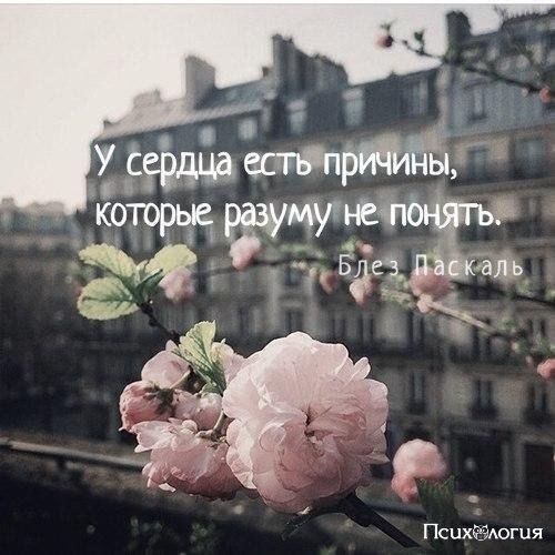  - 6  2017  10:31