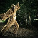 ���� ������, ������, 44 ���� - ��������� 10 �������� 2017 � ������ ������ ��������