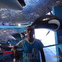 ���� �����, ���������, 43 ���� - ��������� 29 ������� 2017 � ������ ���� ����������