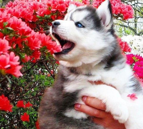 �����!