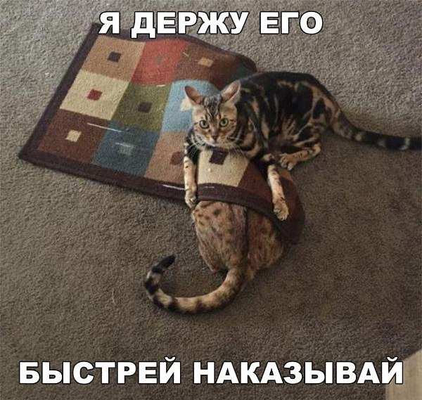 ��� ������ ��� - 7 ������� 2017 � 19:03