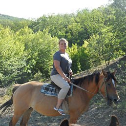 ���� �������, �������, 33 ���� - ��������� 6 ���� 2017