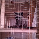 ��� ��������� ���������� �� ������� ���� ����������