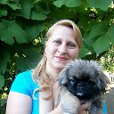  ,  , 46  -  30  2017    