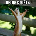 ���� �����, �����������, 56 ��� - ��������� 17 ������ 2017