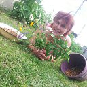 ���� ����, ����������� - ��������� 22 ���� 2017