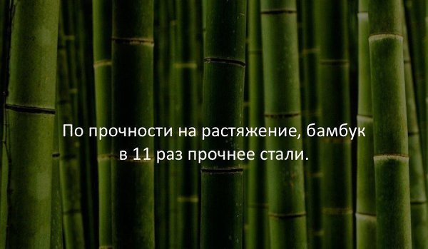   :    - 10  2017  18:36