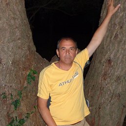 ��������, ���������