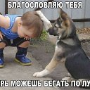 ���� �����., �����-��������, 48 ��� - ��������� 19 ������� 2017 � ������ ������ ��������