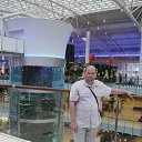  Paradoxonix (), , 41  -  15  2017    