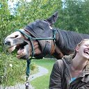 ���� ������, ������ - ��������� 31 ������� 2017 � ������ �������