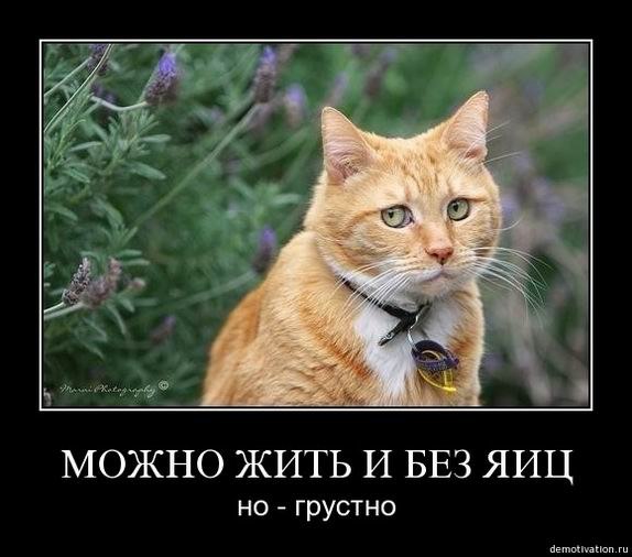 ��������� ���� - 19 ������� 2017 � 11:50