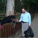 ���� �������, �����������, 62 ���� - ��������� 29 ������ 2017 � ������ ��������� -������ ����.�