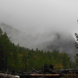 ���� �������, �������, 62 ���� - ��������� 17 ���� 2017