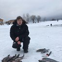 ���� ����, ������, 41 ��� - ��������� 5 ��� 2017 � ������ ���� ����������